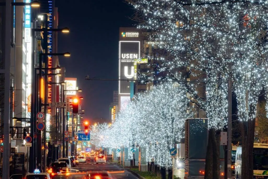 Norwegian Wood Apartment Sapporo